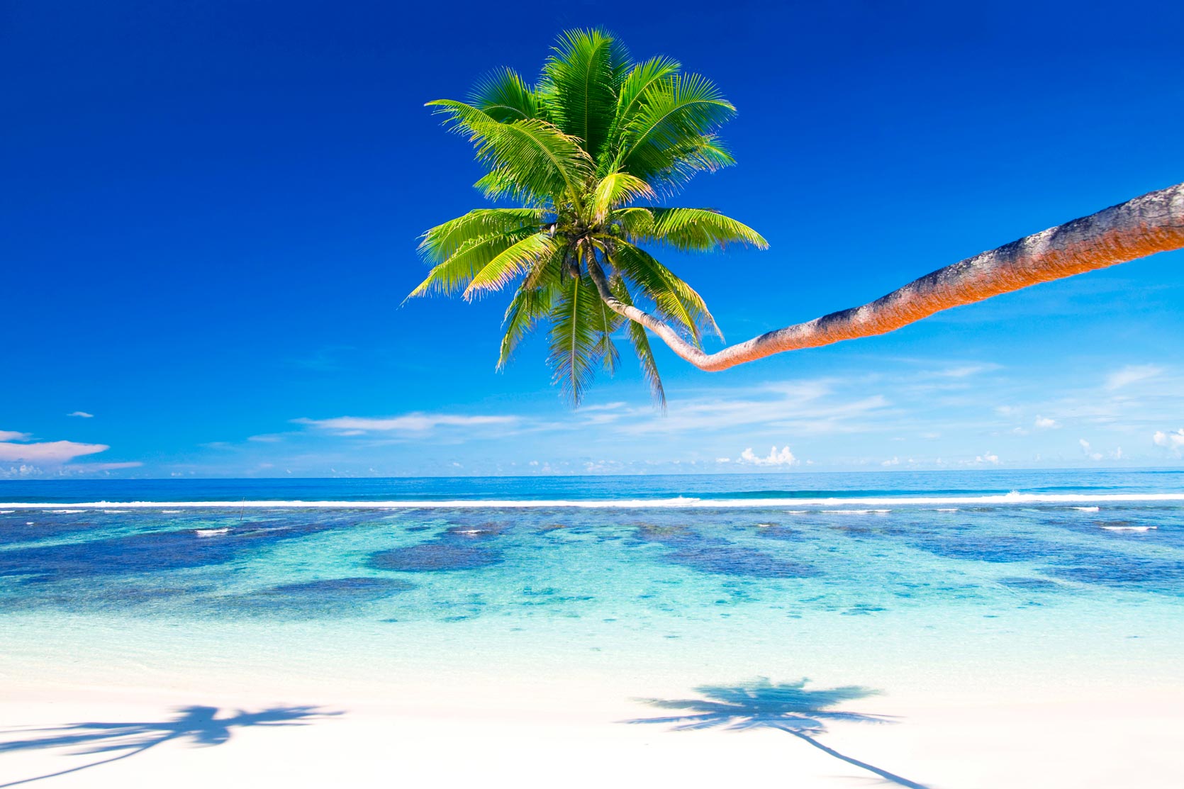 Tropical beach paradise